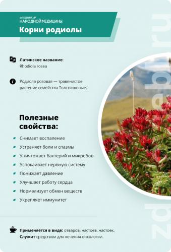 Таблетки родиола розовая инструкция по применению. в народной медицине