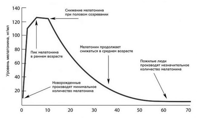 Роль мелатонина в желудочно-кишечном тракте.