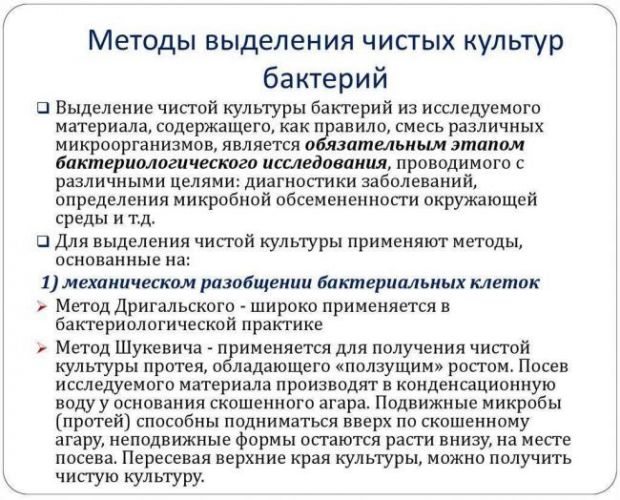 Главные принципы и особенности посева бактерий