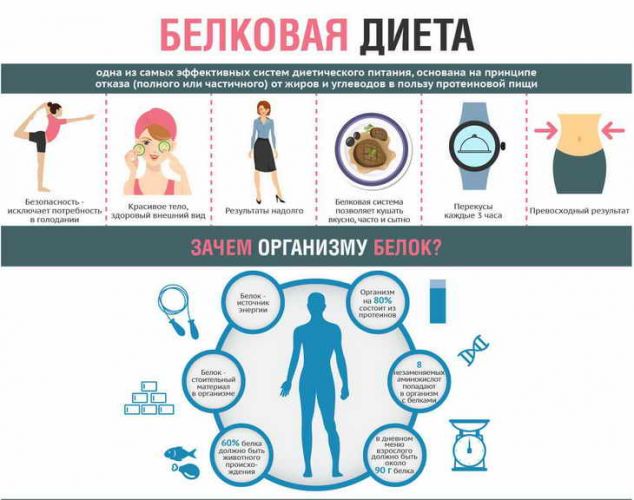 Белковая диета для похудения: меню на 2 недели
