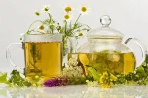 Какие травы помогают от кашля, травы при различных видах кашля