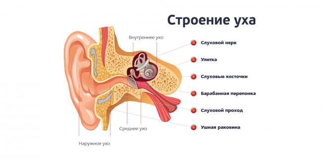 Самые эффективные антибиотики для детей при отите