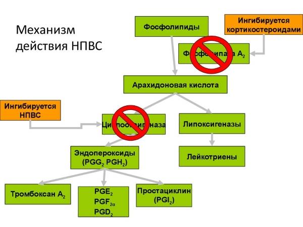 Ксефокам отзывы