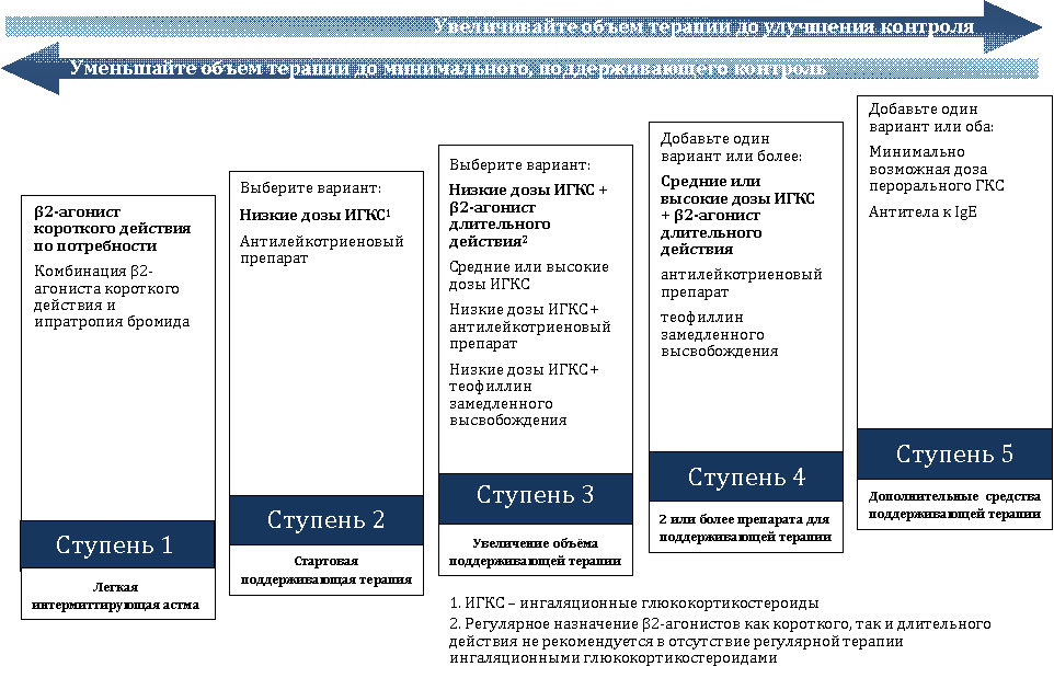 Противоастматические препараты нового поколения