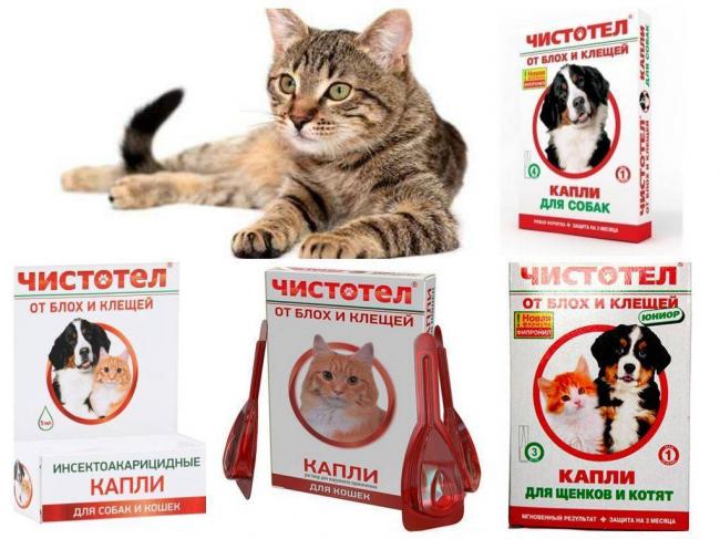 Капли Чистотел от блох для кошек и собак