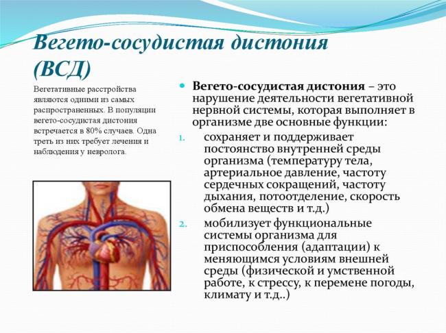 Диета при всд – правила питания при вегето-сосудистой дистонии