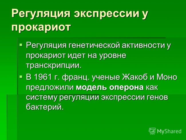 Экспрессия генов — википедия с видео // wiki 2