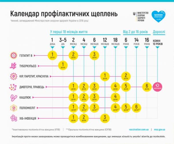 Календарь прививок для детей до 3 лет: таблица, описания и советы