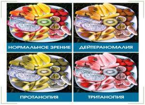 Проверка зрения на цветовосприятие для водителей