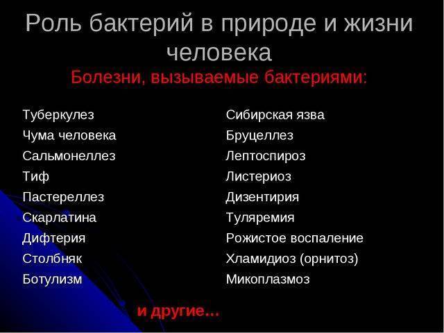 Болезнетворные бактерии — паразиты человека. где живут? какие вызывают болезни?