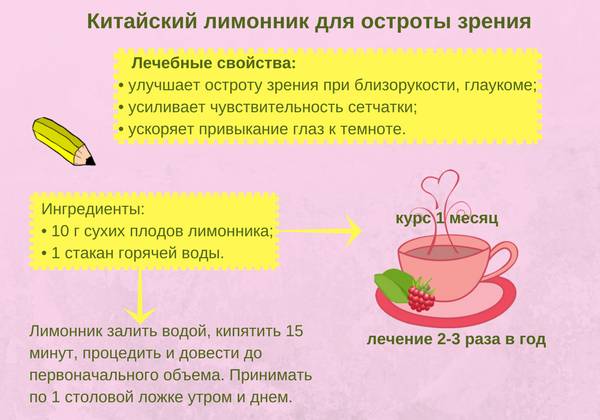 Какие имеет лимонник китайский лечебные свойства и противопоказания