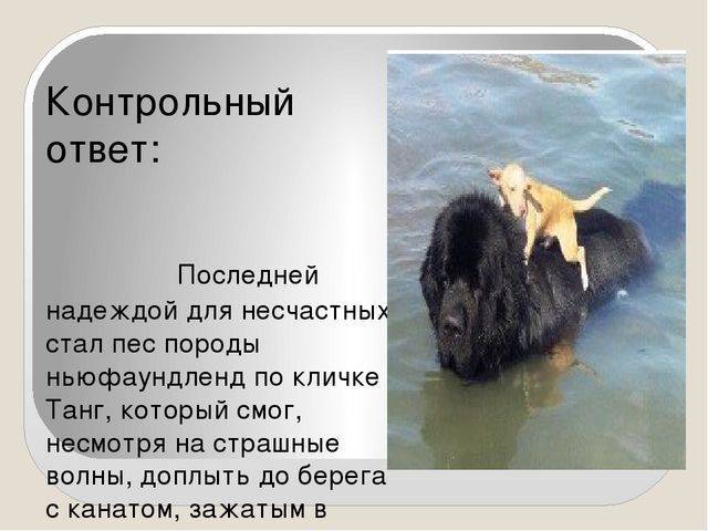 Биология: почему бактерии считают самой древней группой живых существ на земле? какие...