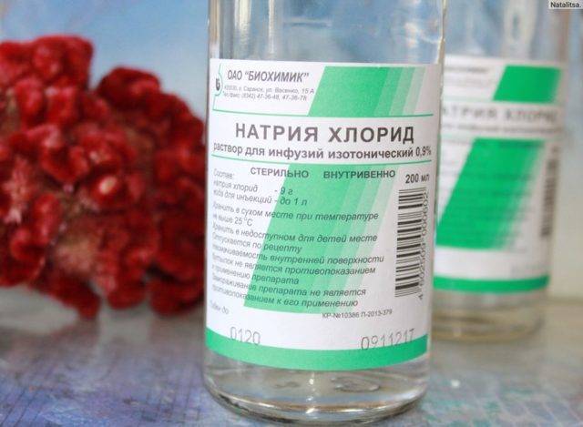 Лечение носа средствами из сока алоэ при насморке, заложенности, гайморите, аденоидах и полипах