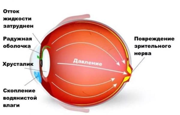 Бесконтактный тонометр для измерения внутриглазного давления: обзор моделей и цен