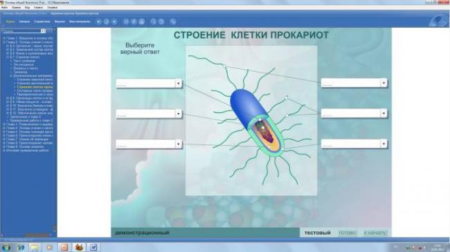 Какие из болезнетворных простейших представляют наибольшую опасность для человека