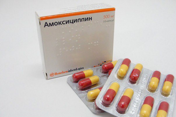 Зиннат: инструкция по применению, аналоги