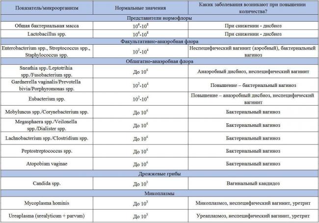 Условно-патогенная флора у женщин: основные риски для женского здоровья