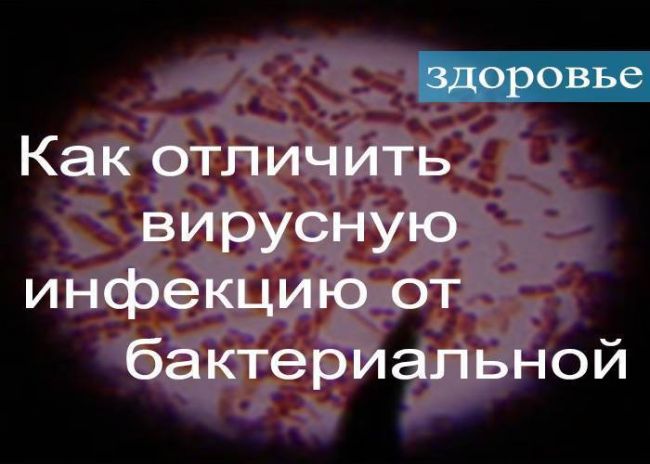 Анализ крови - вирусная или бактериальная инфекция