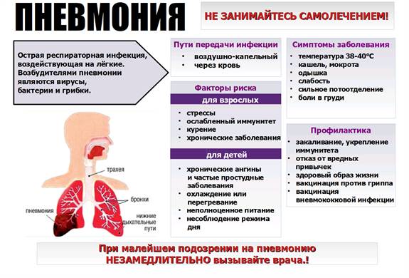Признаки пневмонии у взрослого без температуры с кашлем