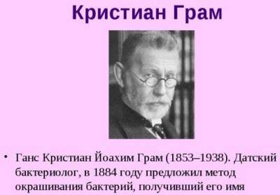 Палочковидные