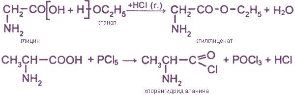 Глава 12. α-аминокислоты, пептиды и белки
