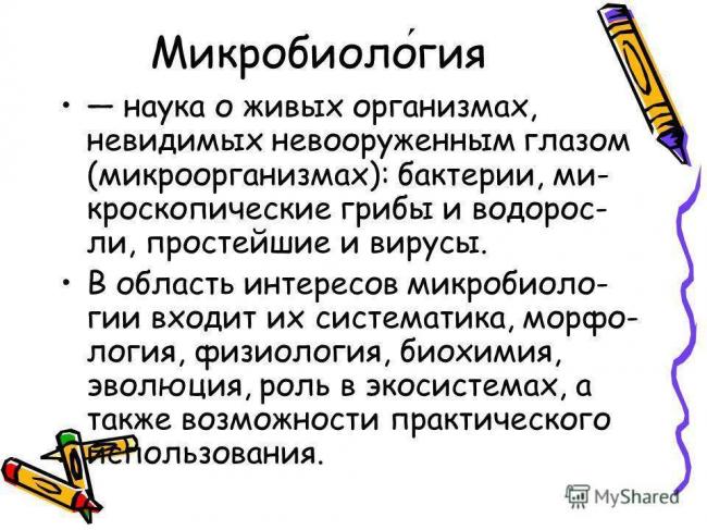 Многообразие методов определения бактерий для решения различных задач