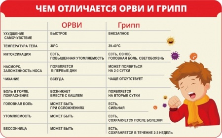 Медики рассказали, как быстро отличить простуду от гриппа