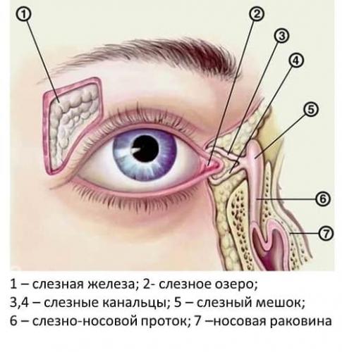 Слезотечение