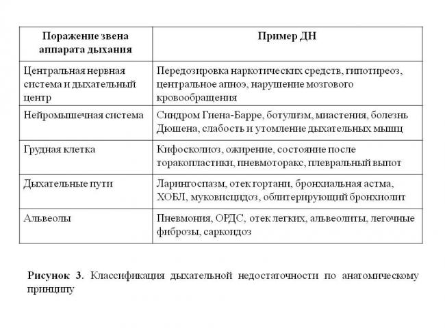 Киста почки: есть ли угроза для жизни