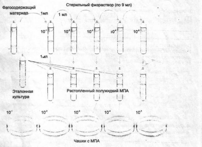 Принципы методов определения активности антибиотиков и других химиотерапевтических веществ - антимикробные агенты - фармацевтическая микробиология - в. а. галынкин - 2015