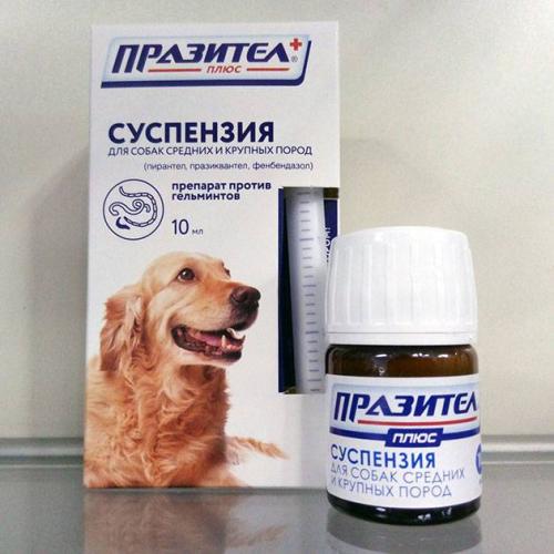 Дозировка пирантела для кошек и собак при глистах