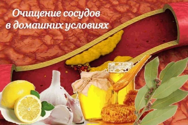 Какие травы чистят сосуды — 10 самых эффективных