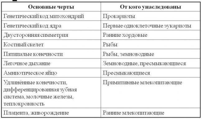 Что общего и какие различия между клетками растений, грибов, бактерий и животных?