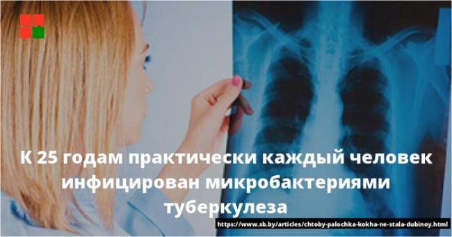 Палочка коха: что это такое, как передается и сколько живет