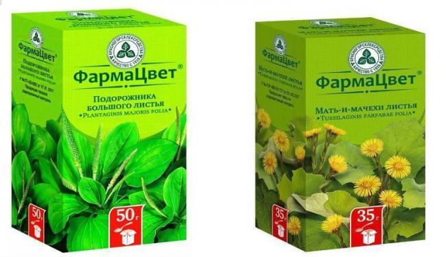 Грудной сбор 1 – состав и инструкция по применению, при каком кашле принимать