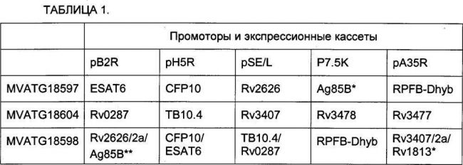 Mycobacterium tuberculosis — википедия. что такое mycobacterium tuberculosis