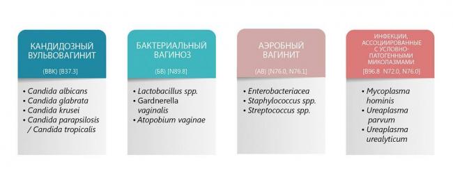 Чем вредна условно-патогенная флора и можно ли от нее избавиться