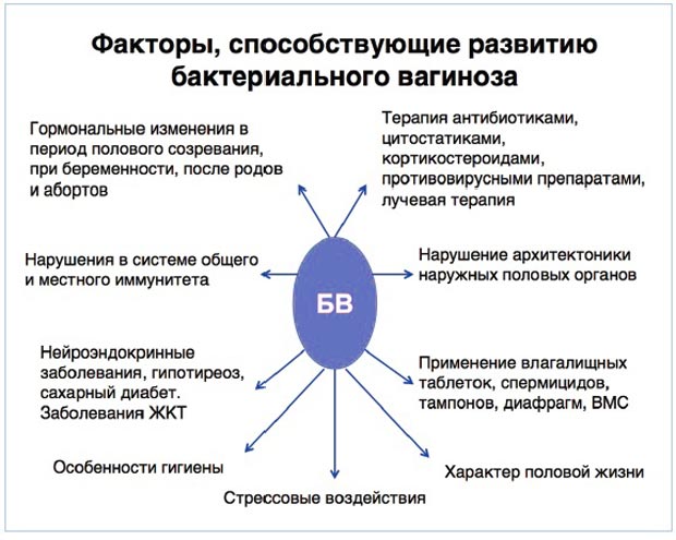 Бактериальный вагиноз: симптомы, диагностика и лечение