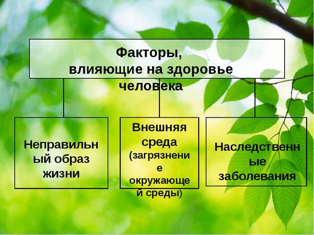 В каких продуктах содержатся пробиотики для кишечника – 10 лучших источников