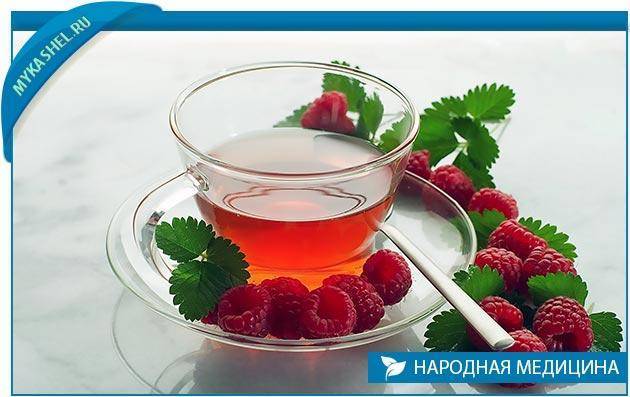 Отвар из веточек малины от температуры