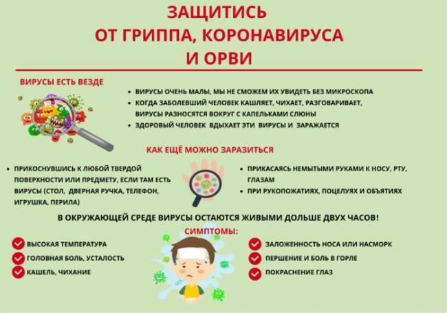 Как отличить бактериальную инфекцию от вирусной? рекомендации комаровского