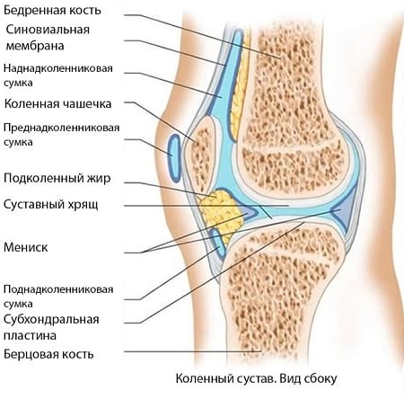 Причины и способы лечения синовита коленного сустава