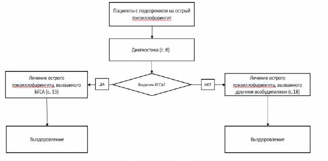 Язвенно-пленчатая ангина симановского-плаута-венсана