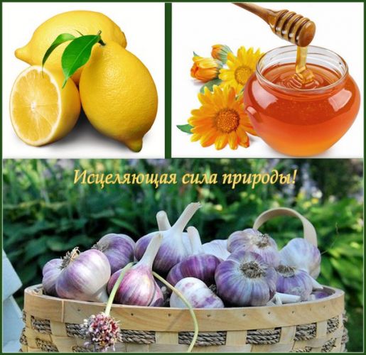 5 рецептов народных средств из чеснока и лимона для чистки сосудов