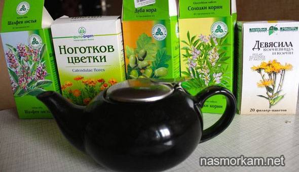 7 лекарственных трав от кашля и бронхита