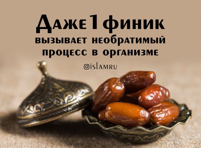 Финики при похудении - польза и вред сухофруктов, можно ли их есть на диете, калорийность