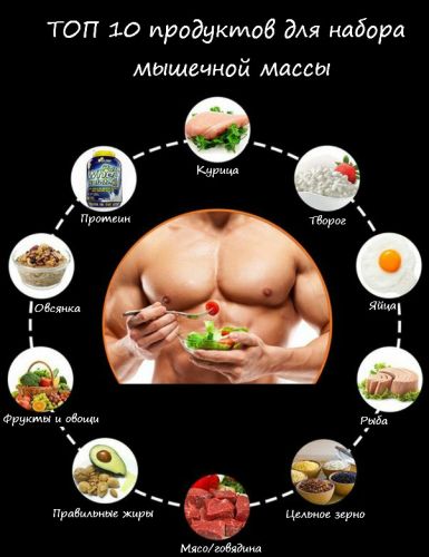 Диета для эктоморфа для похудения