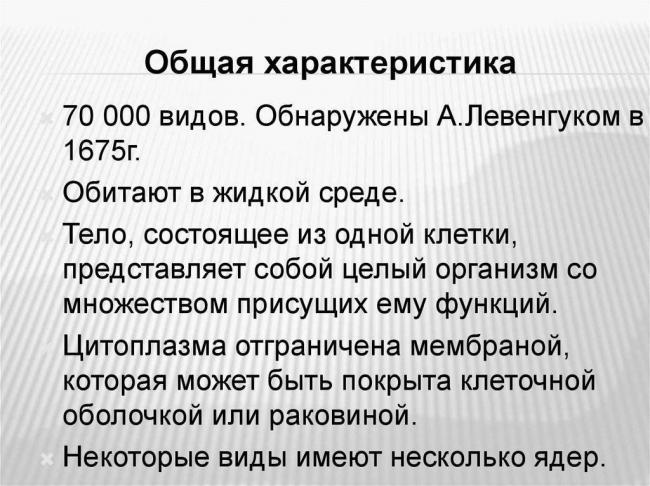 Чем и как отличаются бактерии от простейших
