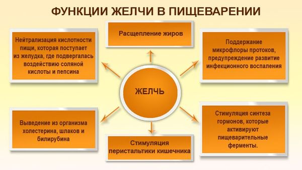 Отзывы о препарате аллохол: инструкция по применению