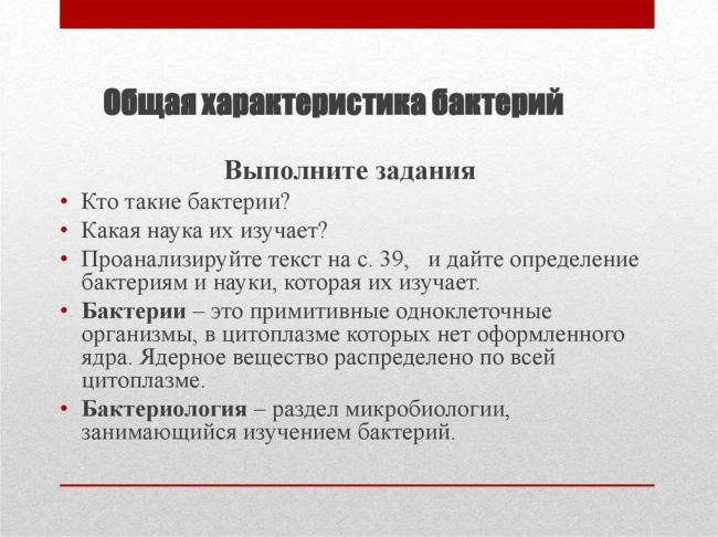 Характеристика основных групп микроорганизмов — студопедия